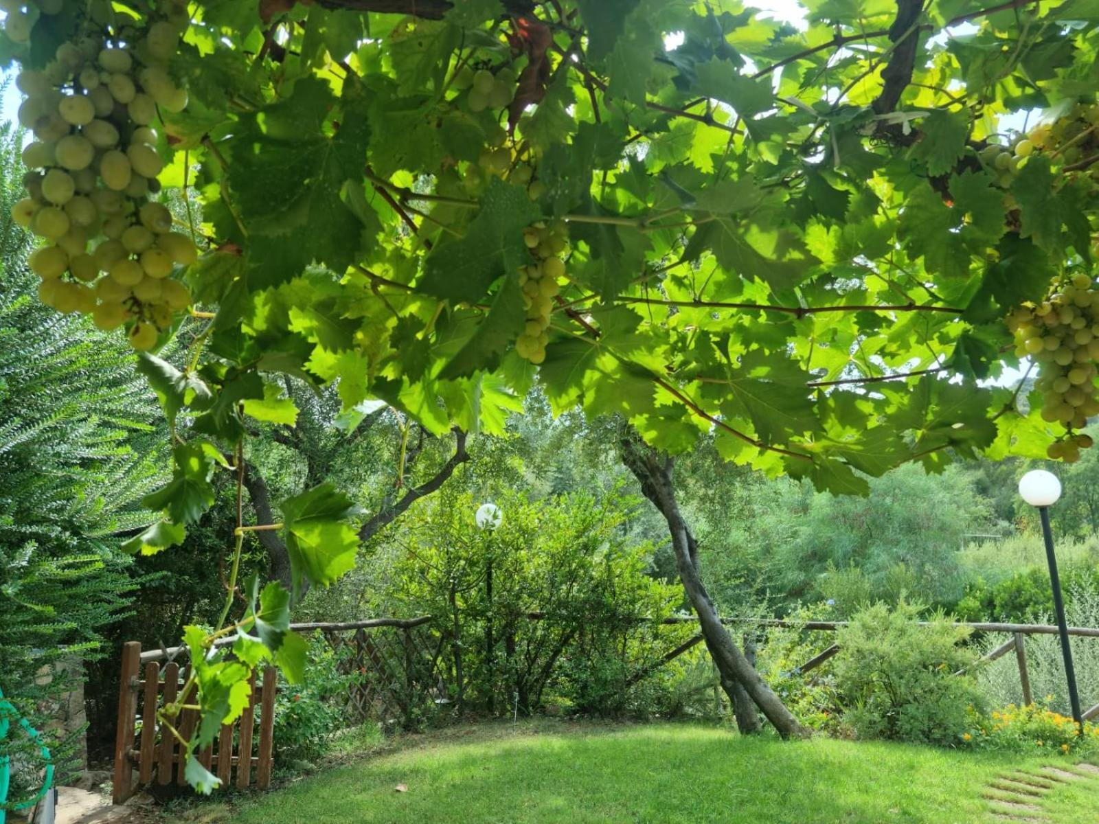 Verde E Mare Villasimius Kültér fotó